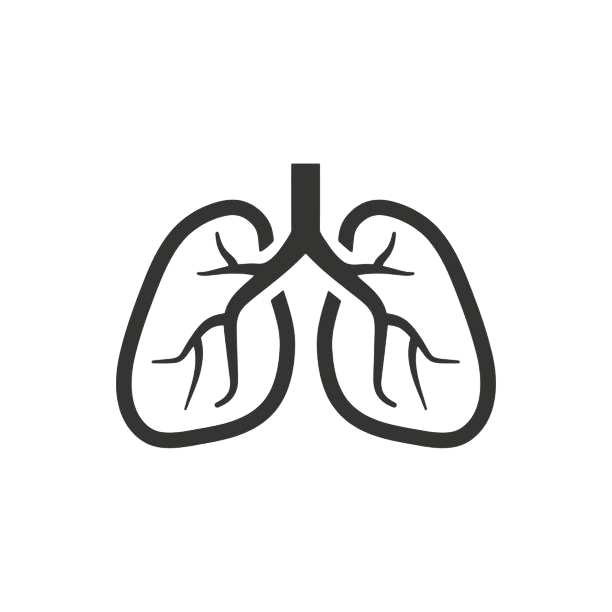 Göğüs Hastalıkları